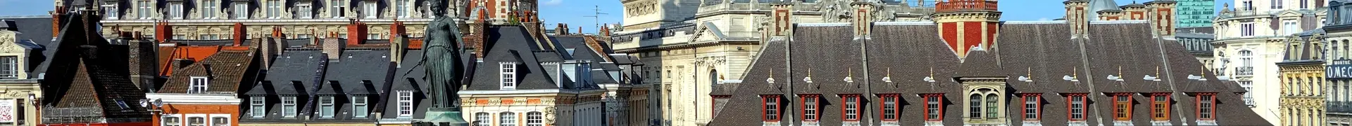 Courtier en assurance à Lille pour particuliers et professionnels