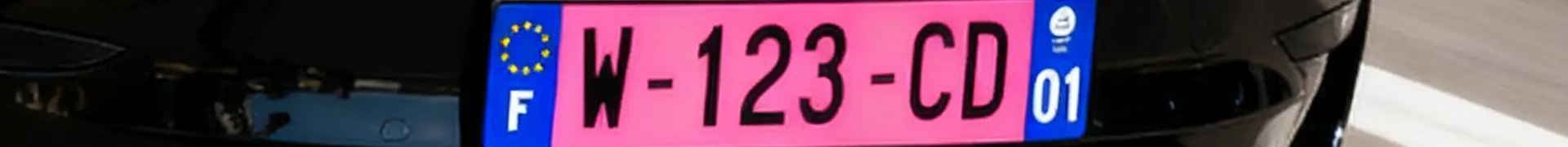 tout sur la plaque W garage